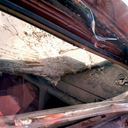 Caffin Avenue, Lower Ninth Ward 2006